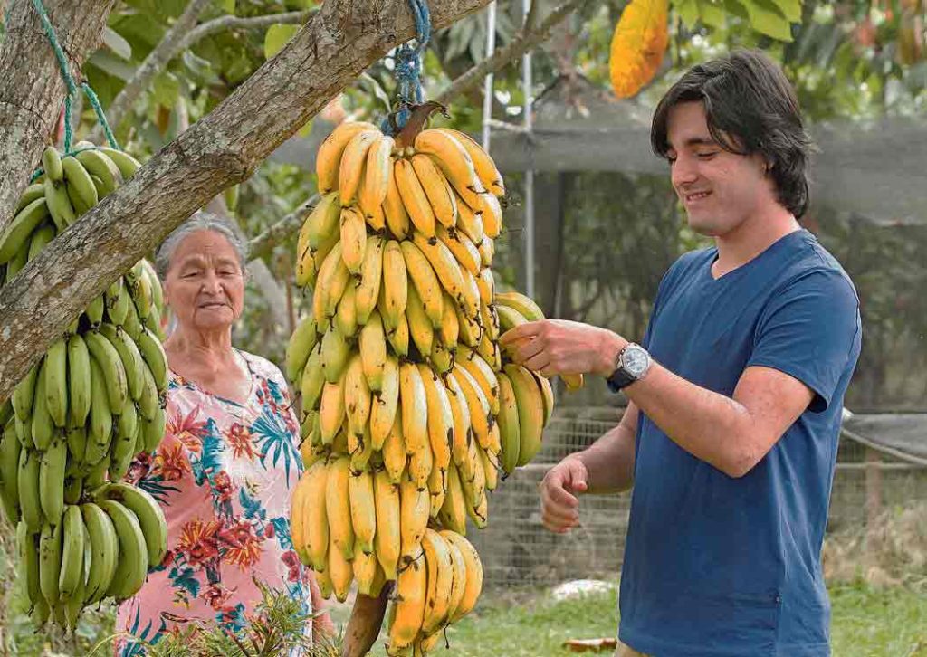 En la finca Don Colón, los turistas pueden recorrer ocho hectáreas de cultivos de cacao y árboles frutales. Aquí llegan muchos extranjeros.